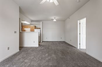 Living room and kitchen